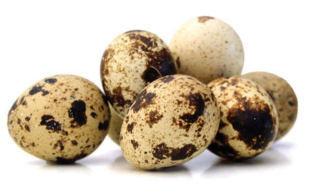 Quail Eggs and Allergies