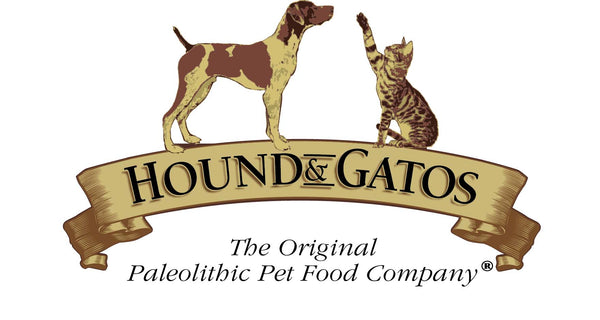 Hound & Gatos