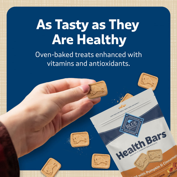 Blue Health Bars Baked With Pumpkin & Cinnamon Dog Treats