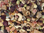 Higgins Versele-Laga Goldenfeast Caribbean Blend for Parrots & Macaws