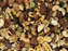 Higgins Versele-Laga Goldenfeast Bean Supreme Treat for Parrots & Macaws