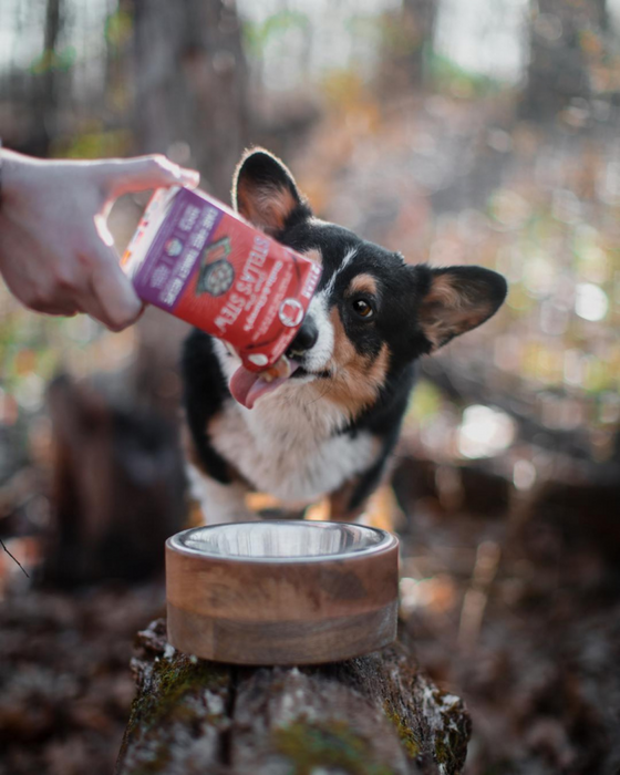 Stella & Chewy's Stella's Stew Cage Free Turkey Recipe Food Topper for Dogs