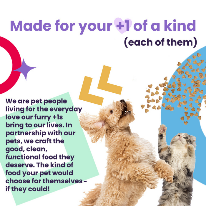 I and Love and You Naked Essentials Grain Free Lamb & Bison Dry Dog Food