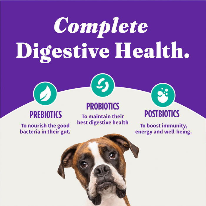 Halo Holistic Vegan Dog Food Complete Digestive Health Plant-Based Recipe with Kelp Adult Formula Dry Dog