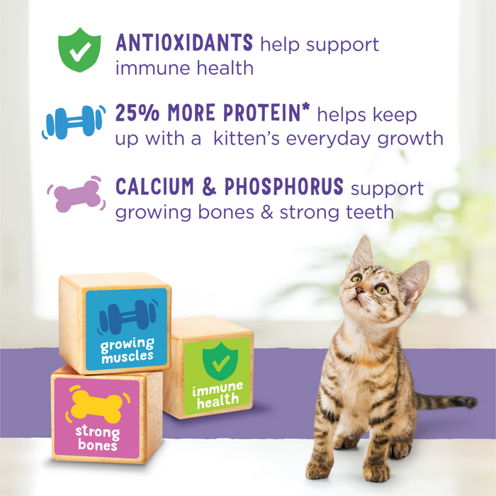 Purina Kitten Chow Dry Cat Food