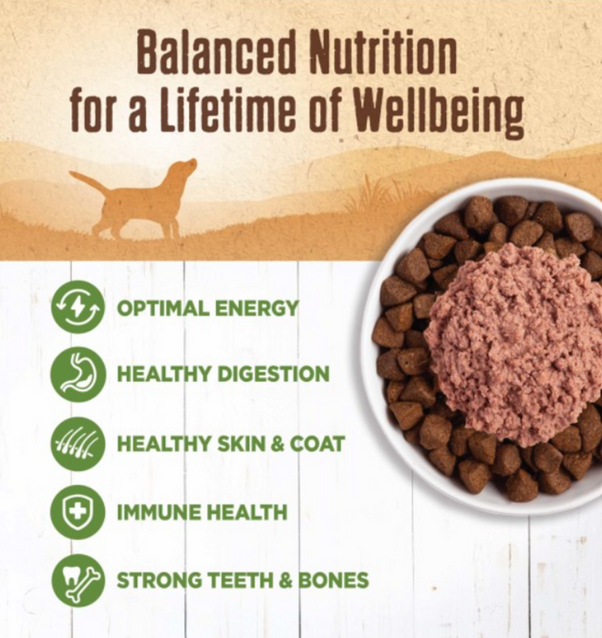 Wellness Natural Grain Free 95%  Lamb Recipe Adult Wet Canned Dog Food