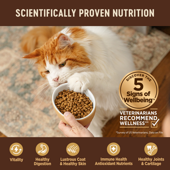 Wellness CORE Natural Grain Free Original Formula Recipe Dry Cat Food