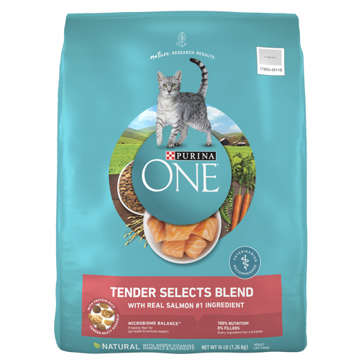 Purina ONE Tender Selects Blend Real Salmon Dry Cat Food