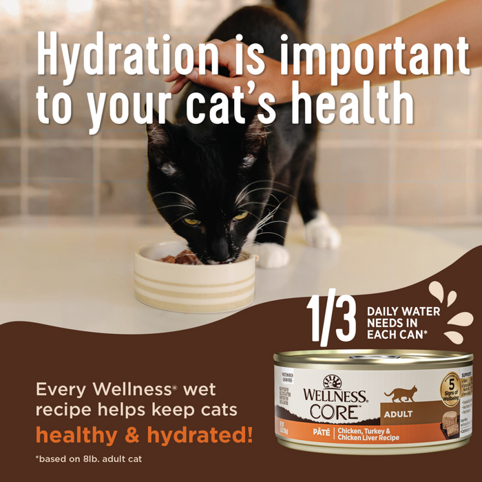 Wellness CORE Grain Free Natural Kitten Health Turkey and Chicken Smooth Pate Canned Cat Food