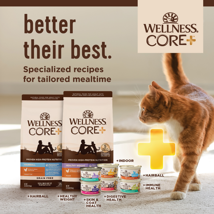 Wellness CORE Natural Grain Free Indoor Chicken and Chicken Liver Smooth Pate Wet Canned Cat Food