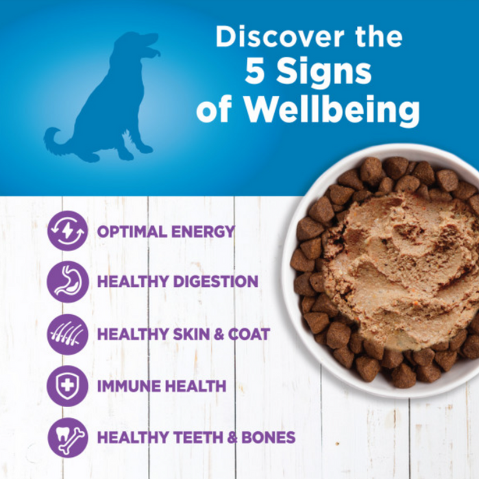 Wellness Simple Natural Limited Ingredient Diet Turkey and Potato Recipe Wet Canned Dog Food