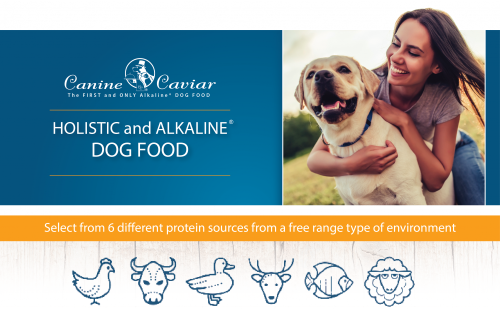 Canine Caviar Special Needs Alkaline Holistic Entree Dry Dog Food