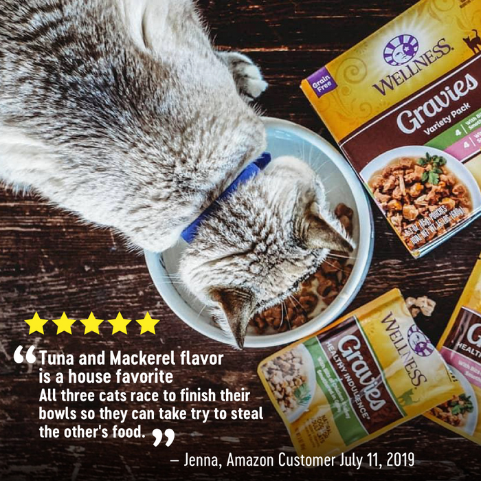 Wellness Healthy Indulgence Natural Grain Free Gravies with Chicken and Turkey in Gravy Cat Food Pouch