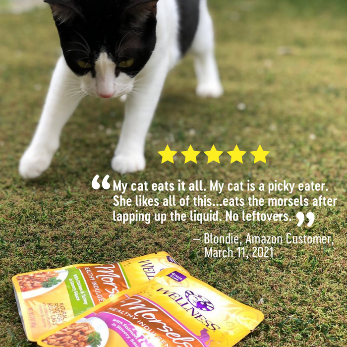 Wellness Healthy Indulgence Natural Grain Free Morsels with Chicken and Chicken Liver in Savory Sauce Cat Food Pouch