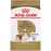 Royal Canin Adult Cavalier King Charles Spaniel Dry Dog Food