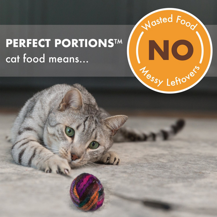 Nutro Perfect Portions Grain Free Turkey Pate and Chicken Pate Wet Cat Food Tray Variety Pack