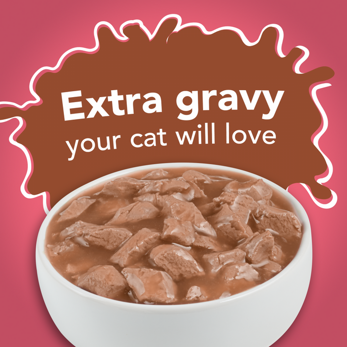 Friskies Extra Gravy Chunky with Salmon in Savory Gravy Canned Cat Food