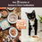 Wellness CORE Tiny Tasters Chicken & Beef Pate Wet Cat Food