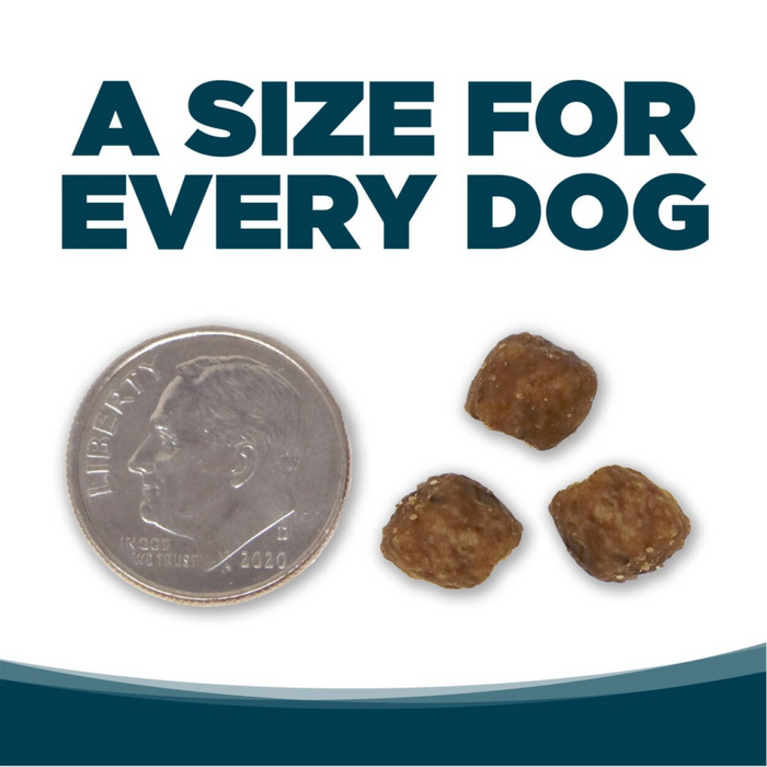 NutriSource Small Bites Chicken & Rice Recipe Dry Dog Food