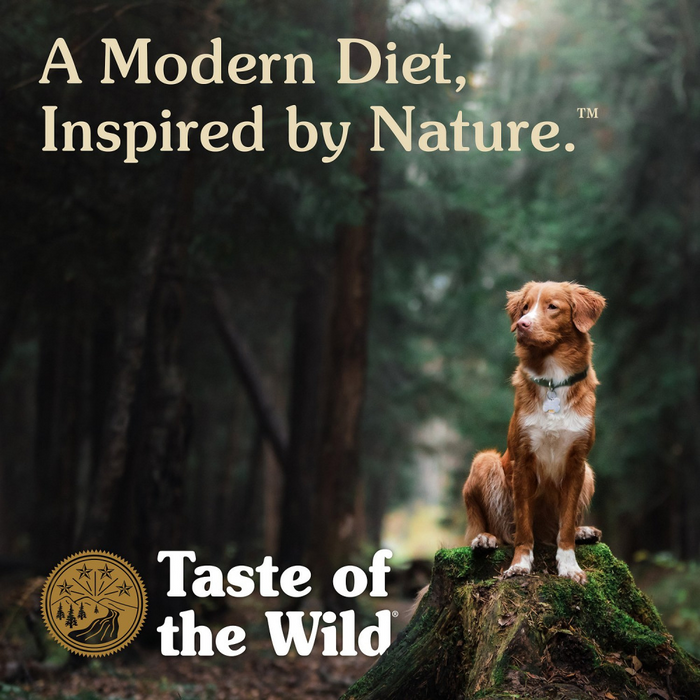 Taste of the Wild Ancient Stream with Ancient Grains Dry Dog Food