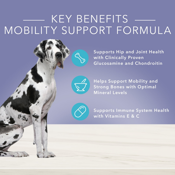 Blue Buffalo True Solutions Jolly Joints Mobility Support Formula Chicken Recipe Adult Dry Dog Food