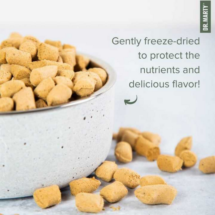 Dr. Marty Nature's Blend for Puppies Freeze Dried Raw Dog Food