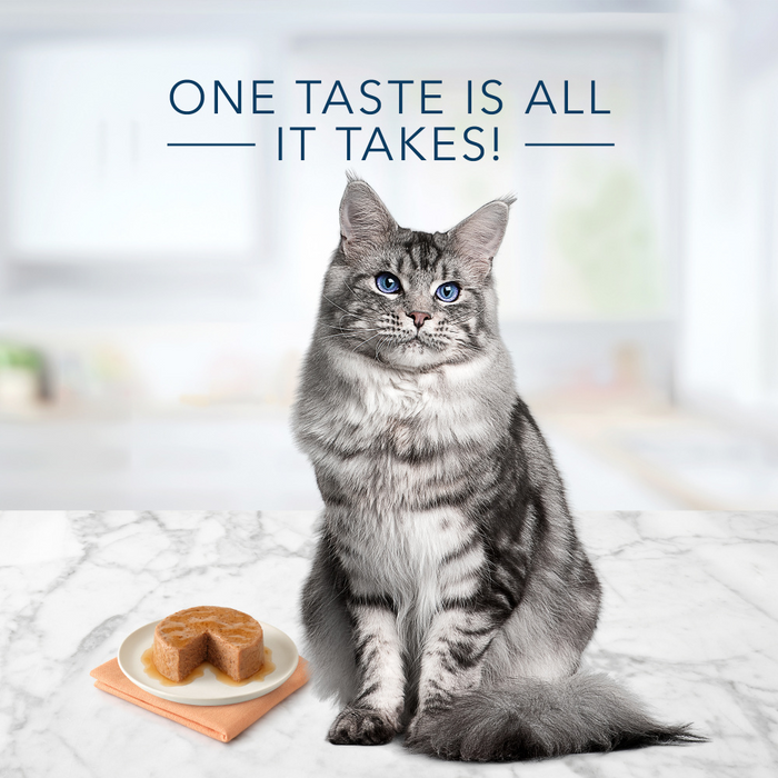 Blue Buffalo Tastefuls Chicken Pate Entree for Mature Cats Wet Cat Food