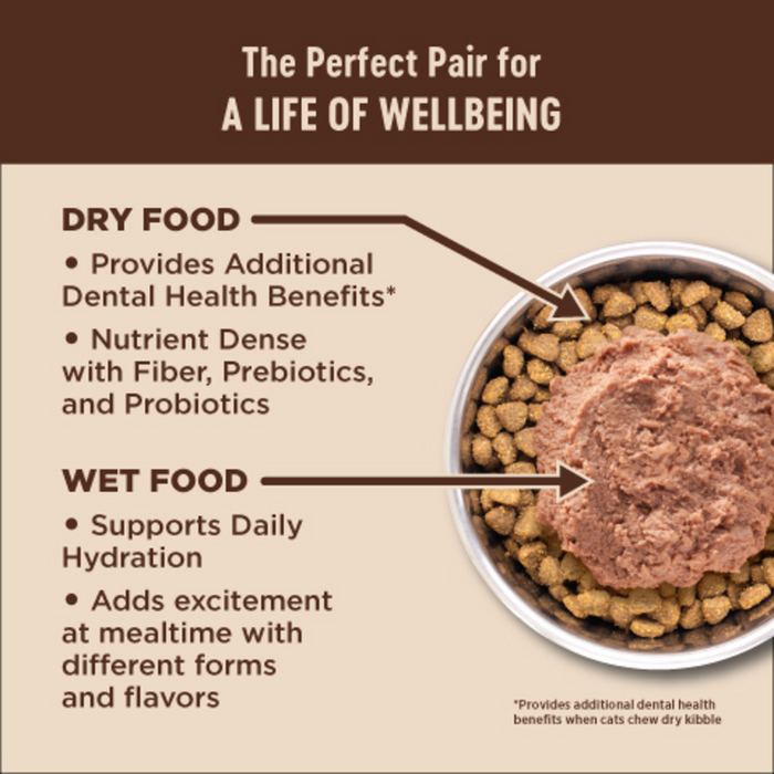 Wellness Core Digestive Health Turkey Pate Recipe Canned Cat Food