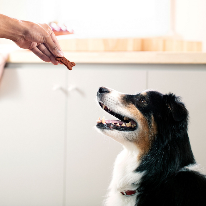 Milk-Bone Soft and Chewy Treats-Beef Filet Mignon