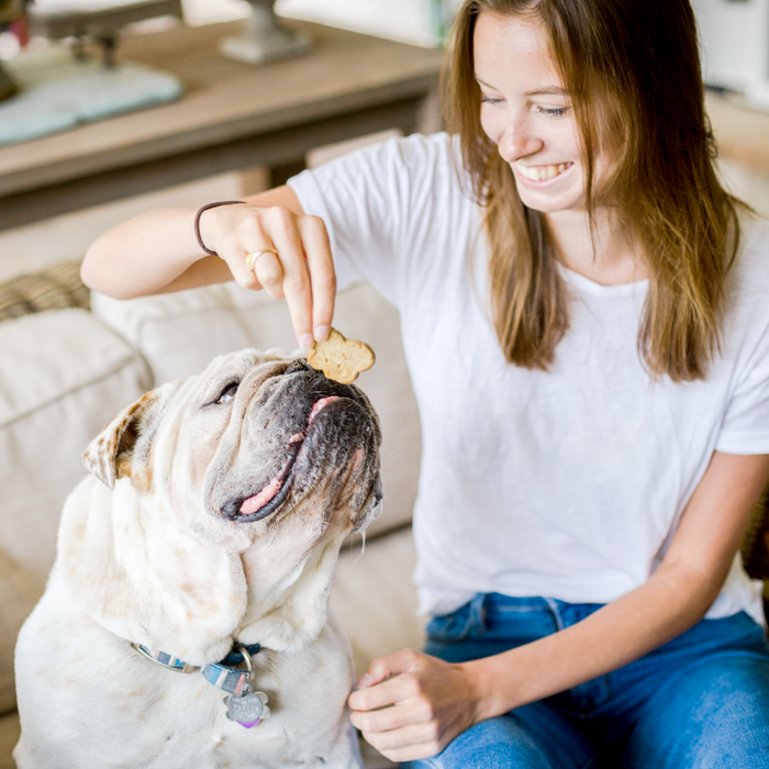 Cloud Star Wag More Bark Less Oven Baked Gain Free Smooth Aged Cheddar Dog Treats