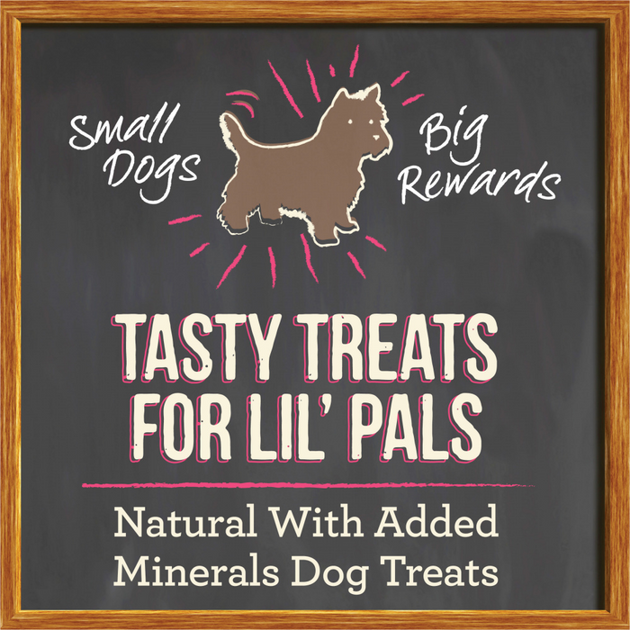 Merrick Lil' Plates Grain Free Small Salmon Dog Treats