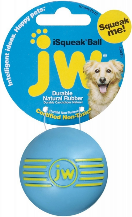 JW Pet iSqueak Ball Dog Toy