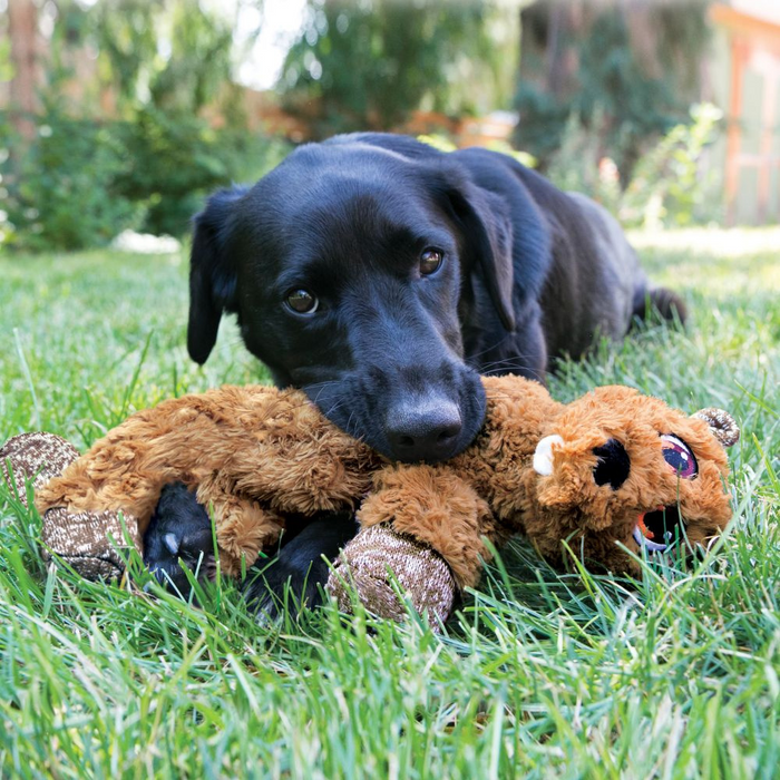 KONG Low Stuff Flopzie Beaver Dog Toy Dog Toy