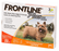 Frontline Plus for Small Dogs and Puppies