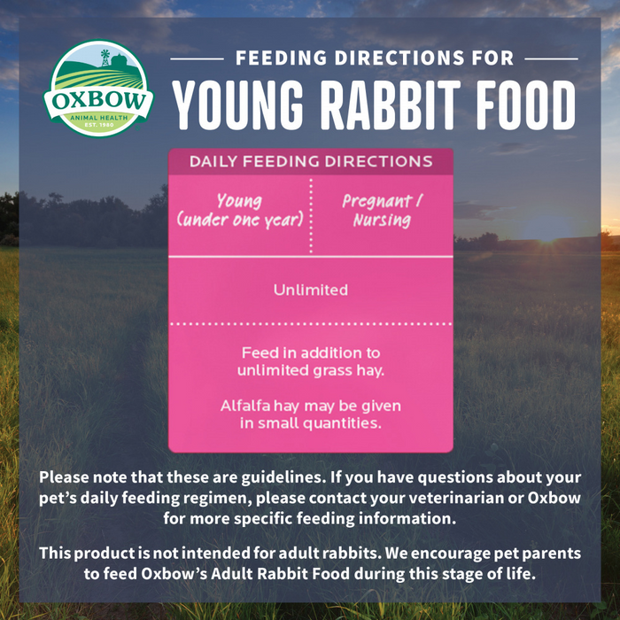 Oxbow Animal Health Essentials Young Rabbit Food All Natural Rabbit Pellets