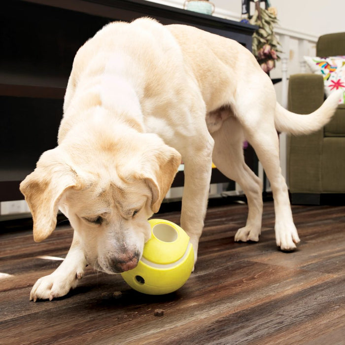 KONG Rewards Tennis Ball Treat Dispensing Dog Toy