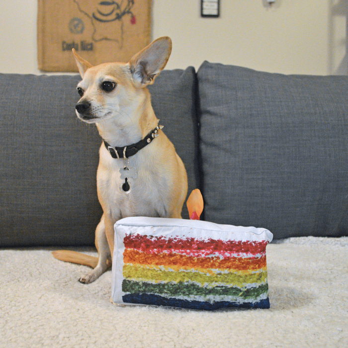 Doggijuana Get to the Pawty Cake
