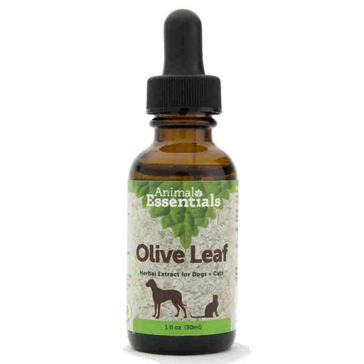Animal Essentials Olive Leaf Extract, 4oz
